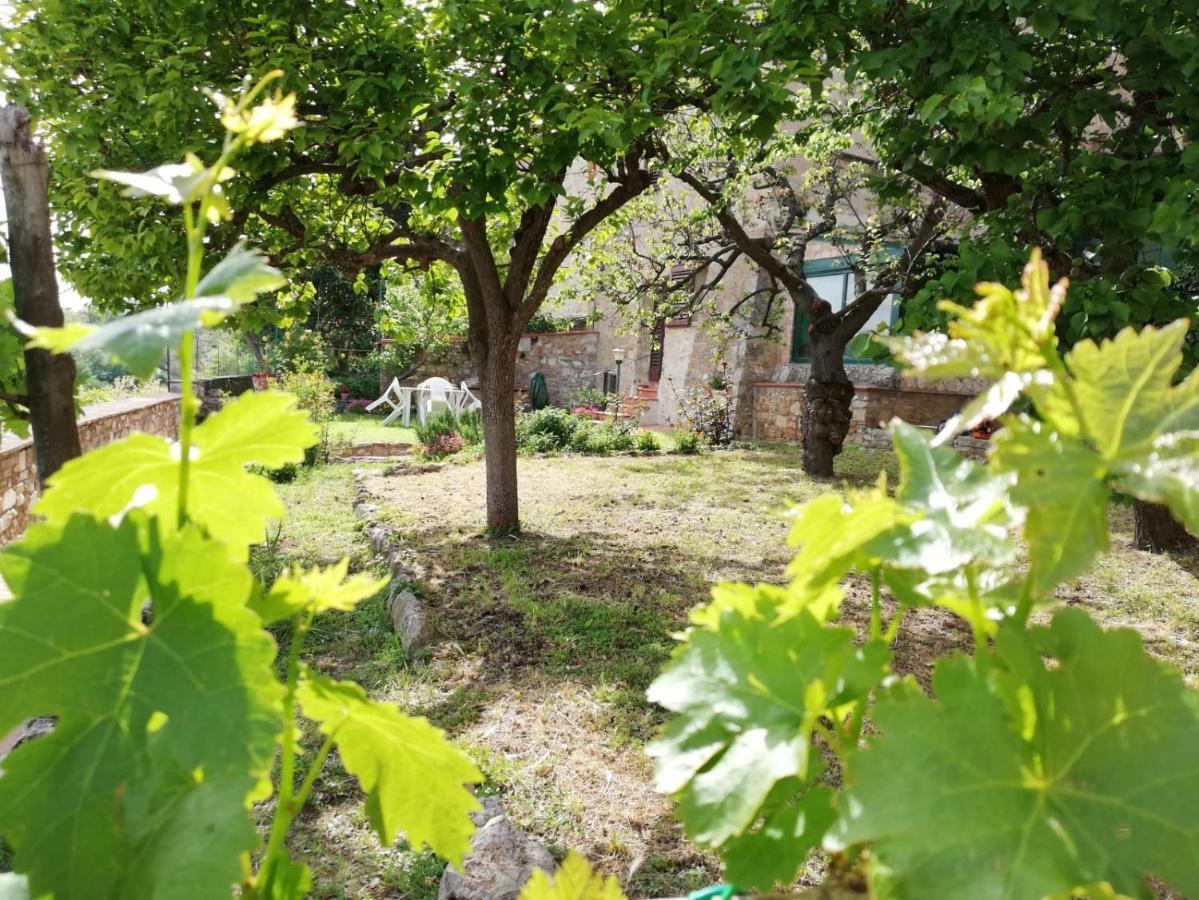 Ferienwohnung La Casa Del Fotografo Colle di Val d'Elsa Exterior foto